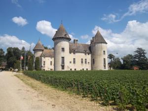 Hebergement Roulotte 