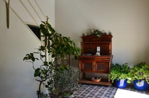 Appartement Le Pre Martin, village d'hotes : photos des chambres