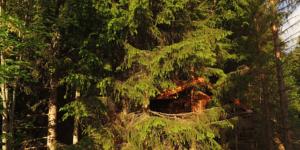 Hebergement Cabane entre terre et ciel : photos des chambres