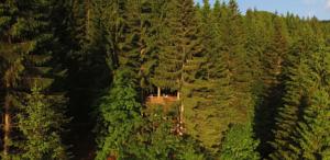 Hebergement Cabane entre terre et ciel : photos des chambres