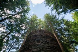 Hebergement Cabane entre terre et ciel : photos des chambres