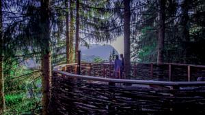 Hebergement Cabane entre terre et ciel : photos des chambres