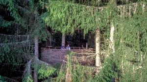 Hebergement Cabane entre terre et ciel : photos des chambres