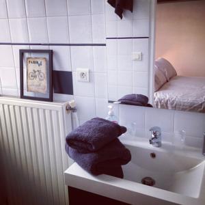 Appartement Le petit Paris : photos des chambres