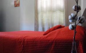 Hotel Les Tchitchou'S Night : photos des chambres