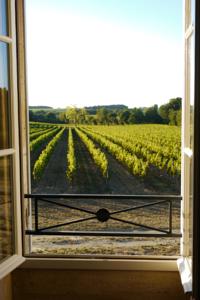 Chambres d'hotes/B&B Chateau la Maronne : photos des chambres