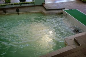 Hebergement Chalet le Polonez : photos des chambres