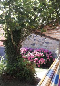 Hebergement Le kaolin : photos des chambres
