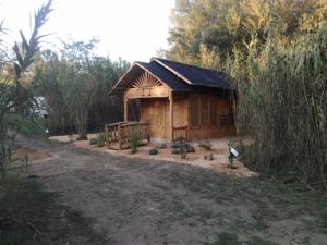 Hebergement camping le Fief d'Anduze : photos des chambres