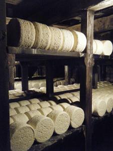 Hebergement Gite du Jardin Castel d'Alzac : photos des chambres