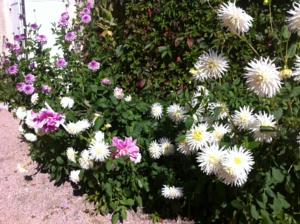 Chambres d'hotes/B&B Chateau de Saint-Agoulin : photos des chambres