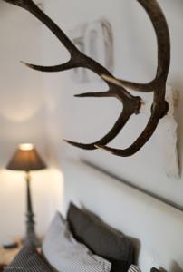 Chambres d'hotes/B&B Bastide Vieux Chene : photos des chambres