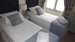 Hotel Le Lion Verd : Chambre Lits Jumeaux Standard