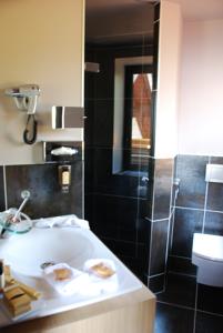 Hotel Domaine des Avenieres : photos des chambres