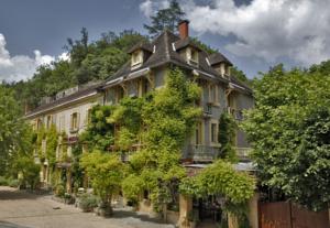 Hotel Le Cro-Magnon : photos des chambres