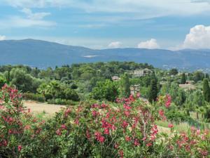 Hebergement Maison De Vacances - Berre-Les-Alpes 2 : photos des chambres