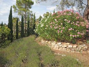 Hebergement Holiday home Lei Roucas : photos des chambres