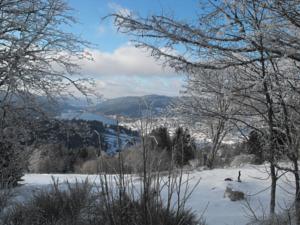 Hebergement Chalet Du Neune 11 : photos des chambres