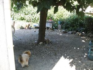 Hebergement Villa Denise : photos des chambres