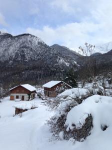 Hebergement Les Bordes De Paloumieres : photos des chambres