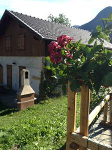 Hebergement Les Bordes De Paloumieres : photos des chambres