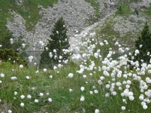 Hebergement Les Bordes De Paloumieres : photos des chambres