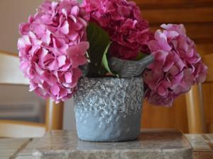 Hebergement Farm stay La Renardiere : photos des chambres