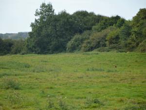 Hebergement Farm stay La Renardiere : photos des chambres