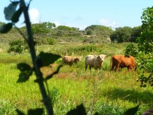 Hebergement Farm stay La Renardiere : photos des chambres