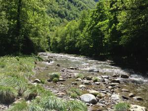 Hebergement Les Bordes De Paloumieres : photos des chambres