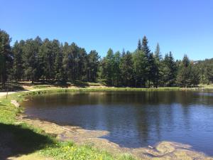 Hebergement Chalet de l'Esquirol : photos des chambres