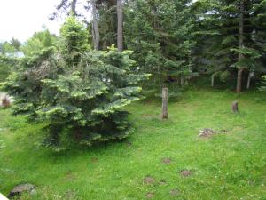 Hebergement Chalet de l'Esquirol : photos des chambres