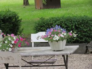 Chambres d'hotes/B&B Le Gite du Jardin : photos des chambres