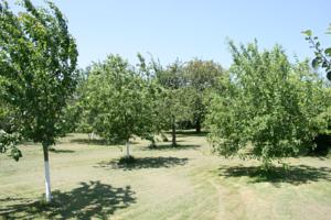 Hebergement Abbaye De Bois-Aubry : photos des chambres