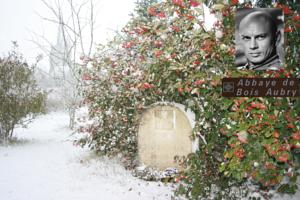 Hebergement Abbaye De Bois-Aubry : photos des chambres