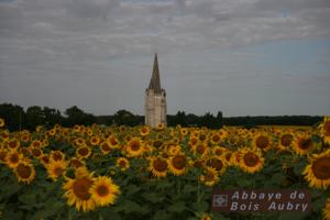 Hebergement Abbaye De Bois-Aubry : photos des chambres