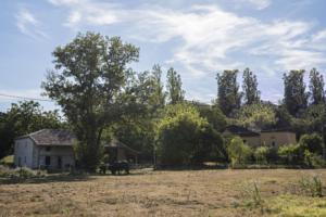 Chambres d'hotes/B&B Cavenac lodge Chambres d'hotes : photos des chambres