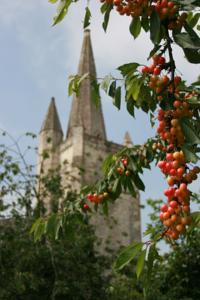 Hebergement Abbaye De Bois-Aubry : photos des chambres
