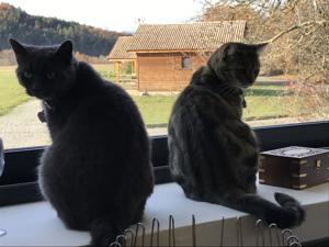 Hebergement Domaine De Malcor : photos des chambres