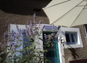 Hebergement Maison Lavande : photos des chambres