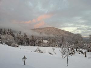 Chambres d'hotes/B&B B&B Chalet l'Epinette : photos des chambres