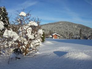 Chambres d'hotes/B&B B&B Chalet l'Epinette : photos des chambres