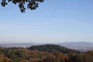 Hebergement Les Chalets en Cevennes : photos des chambres