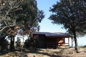 Hebergement Les Chalets en Cevennes : Chalet 2 Chambres
