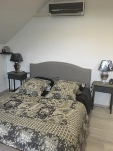 Chambres d'hotes/B&B Villa de la Croix : Chambre Double 