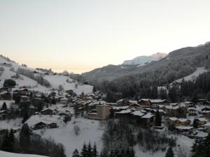 Hebergement Chalet Rose : photos des chambres