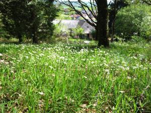 Hebergement Gite de Laudinie : photos des chambres