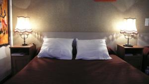Hotel des Alpes : photos des chambres