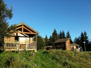 Hebergement Camping de Saint-Urcize : photos des chambres
