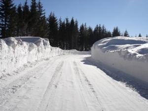 Hebergement Camping de Saint-Urcize : photos des chambres